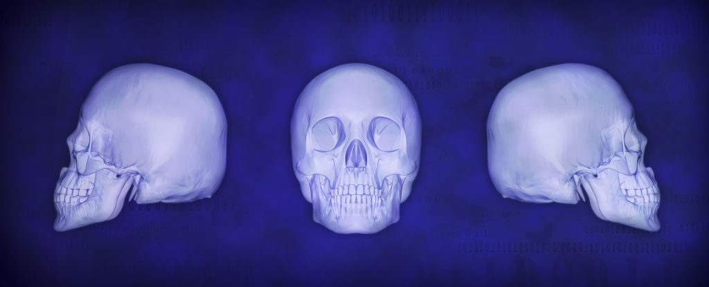 3D-ID-Geometric Morphometric Classification of Crania LARGE